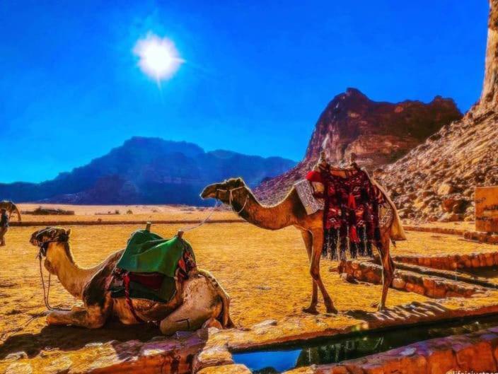 Moon City With Jeep Trips ワディ ・ラム エクステリア 写真